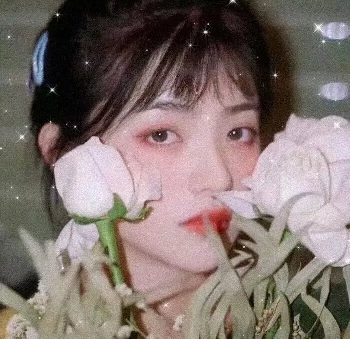 旺角藏龙 在线观看